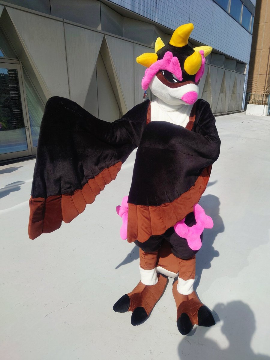 みけこん2026ふゆ #みけこん キチキギスさん！ はんなりですねぇ