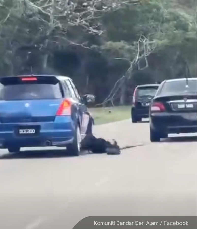A man in his 30s was arrested in Johor after clinging to his ex-wife's ...