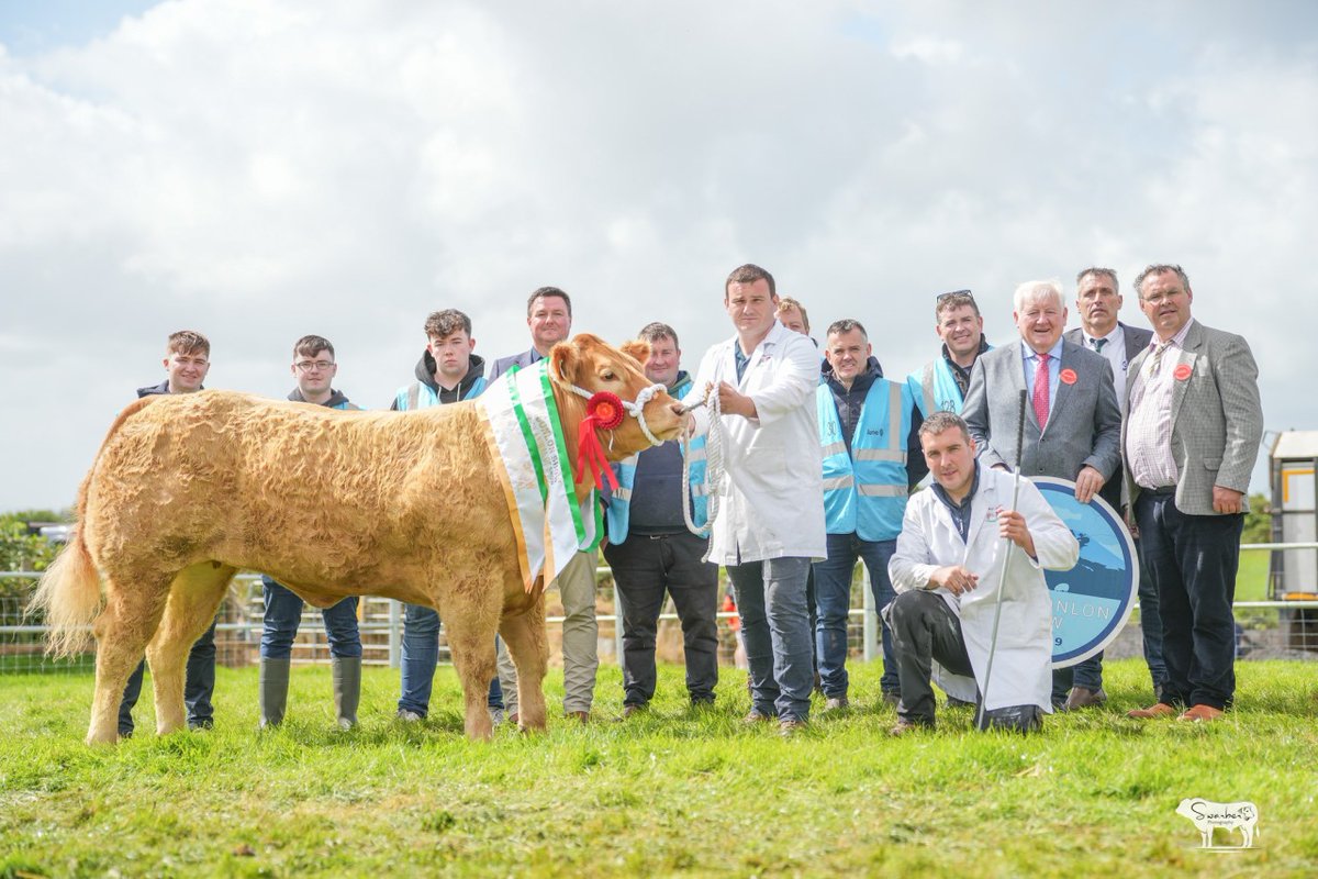 Prestige Beef tweet media