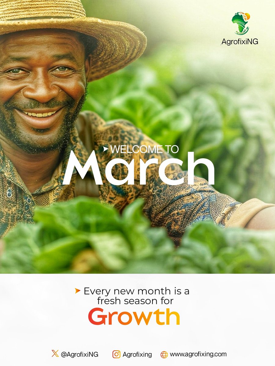 AgrofixiNG's tweet photo. Happy New Month!

Growth doesn’t happen by accident. It takes planning, support, and people who care.

At AgrofixiNG, we help you build solutions that last.

#AgrofixiNG #ClimateSmartAgriculture #SustainableDevelopment https://t.co/QyJoRMsrMi