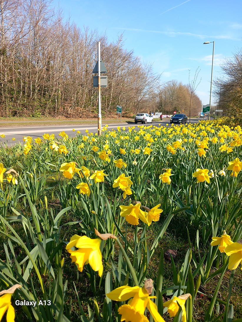 Mayor of Basingstoke and Deane 2025/26 tweet media