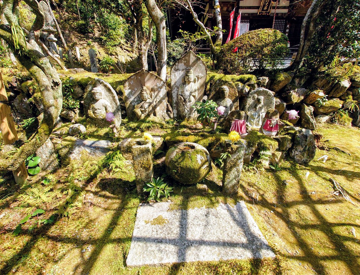 脳関連にご利益のあるという今熊野観音寺に参拝（腰のリハビリを兼ねて）