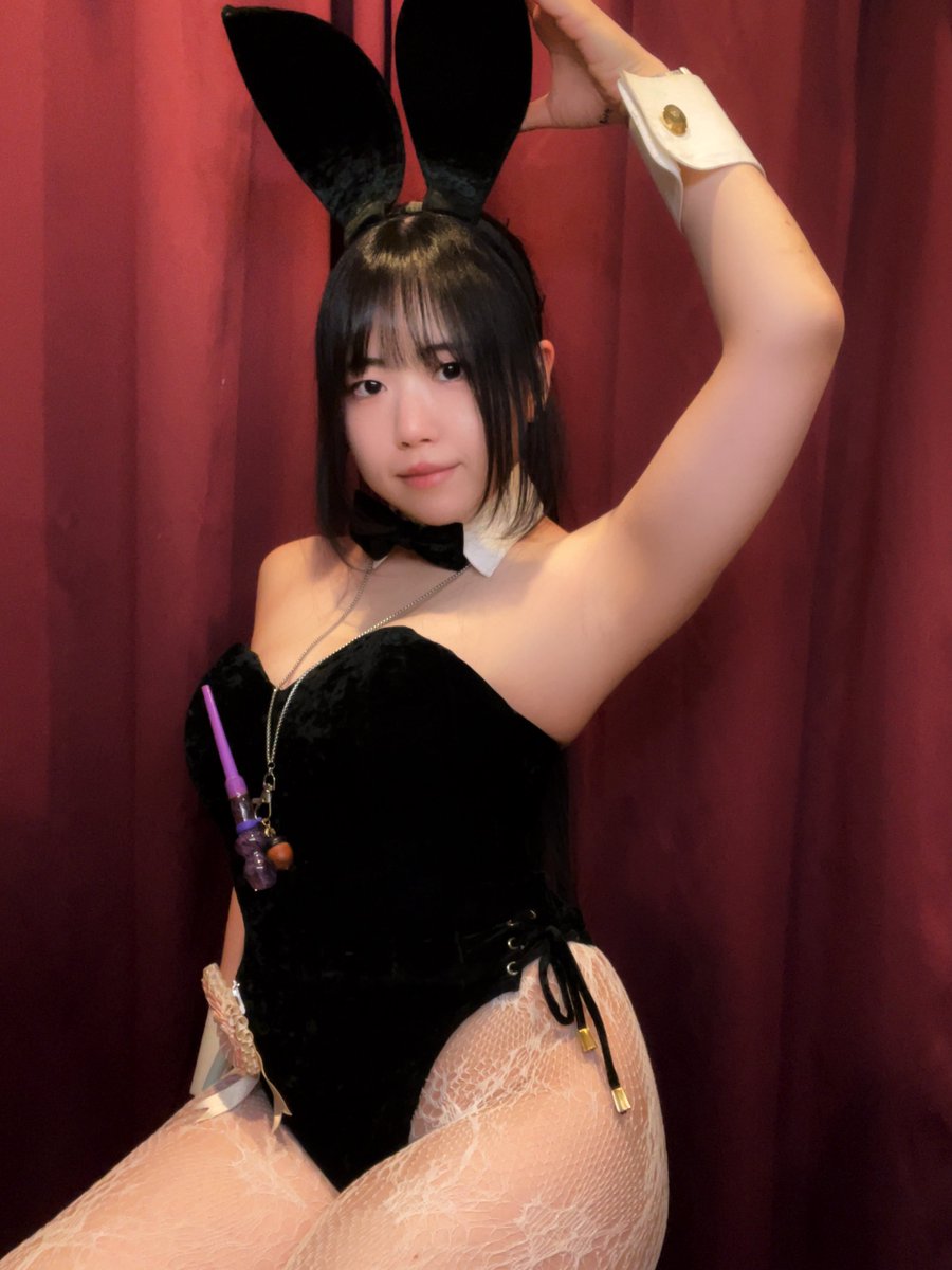 たぬ＠バニーパレス tweet media