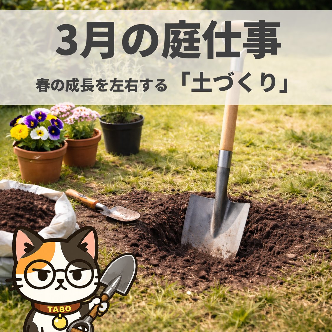 ブログ更新しました🖥️

◤￣￣￣￣￣￣￣￣￣￣￣￣￣￣￣￣￣￣￣￣◥
  3月の庭仕事。春の成長を左右する「土づくり」 
◣＿＿＿＿＿＿＿＿＿＿＿＿＿＿＿＿＿＿＿＿◢

kobitobase.com/blog/march-gar…

#ガーデニング
