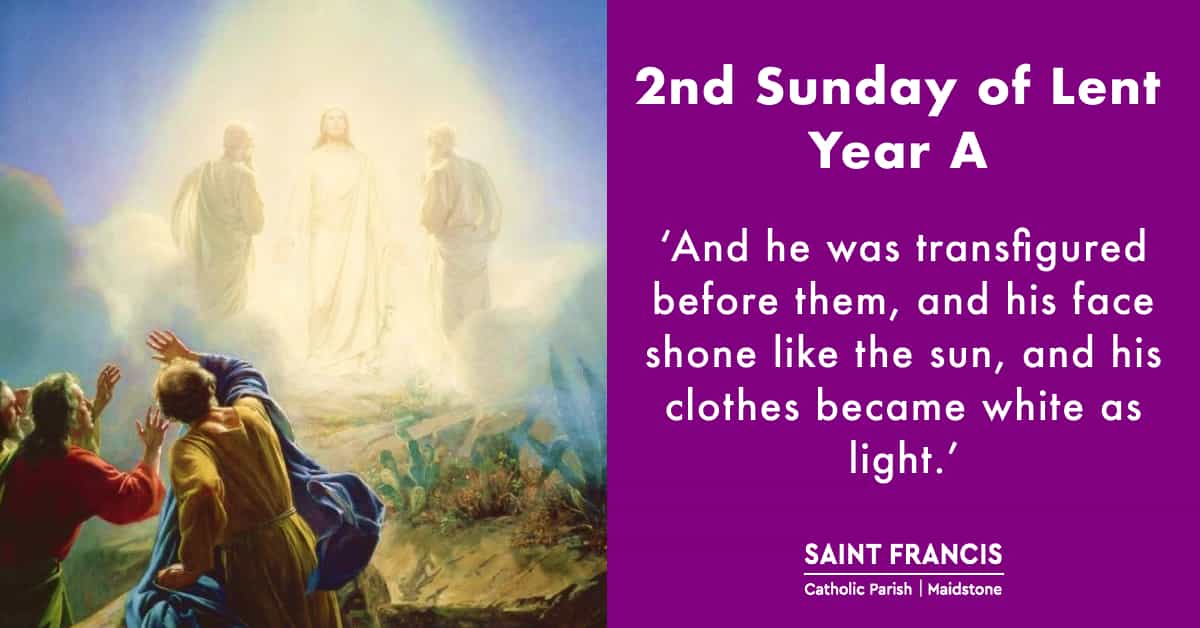 This week's Newsletter: tinyurl.com/3uxmwc8c