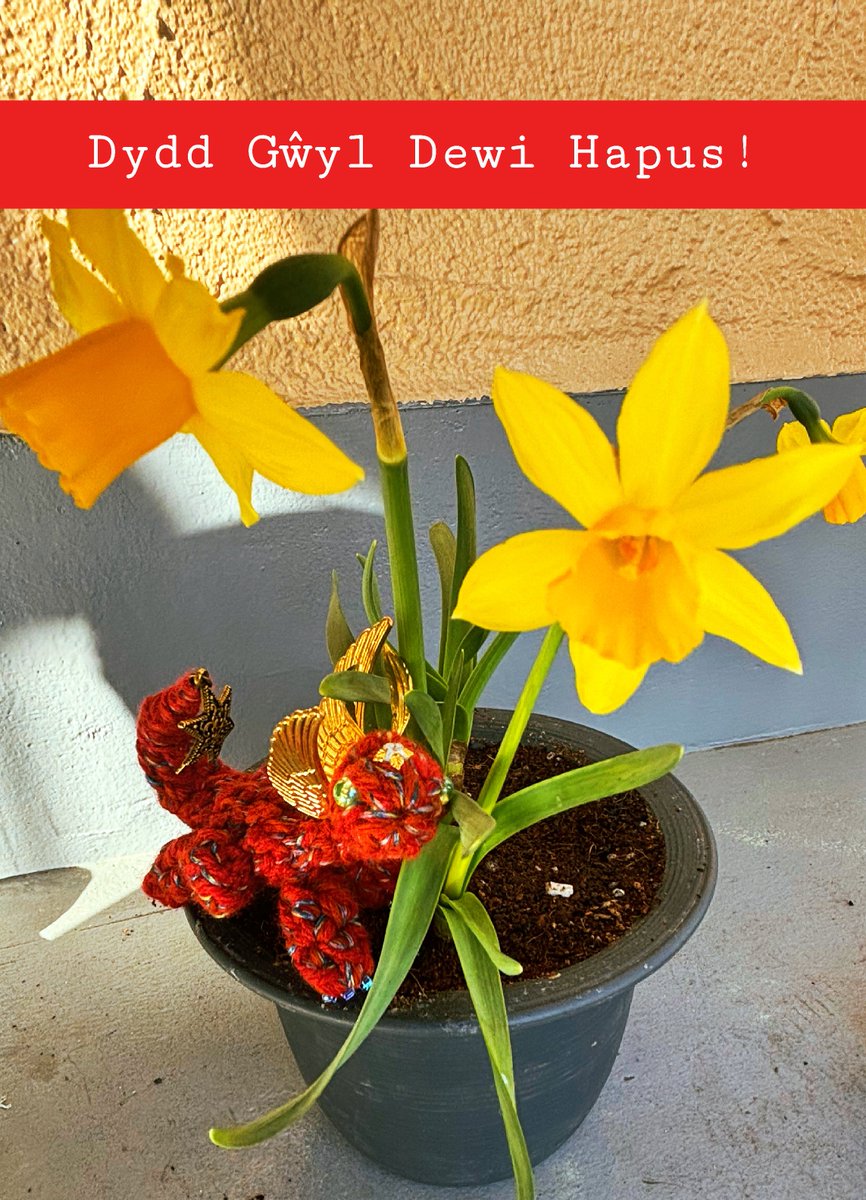 __mikageeeee's tweet photo. 🇬🇧Happy St.David's Day!
🏴Dydd Gŵyl Dewi Hapus!
With love from Japan to my dear Wales.
#StDavidsDay #RandomActsofWelshness https://t.co/xkpoNNw8jC
