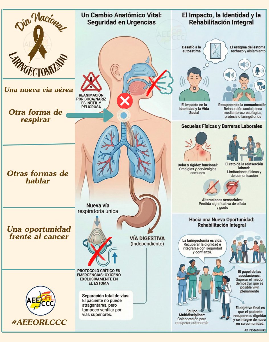 #DíaNacionaldelLaringectomizado
Una nueva forma de respirar, una nueva voz, una oportunidad y un gran reto de rehabilitación.
Desde AEEORLCCC, las enfermeras ORL queremos acompañamos en cada paso de este camino.
#EnfermeraORL
#EstomaRespiratorio
#Laringectomía
#AEEORLCCContigo