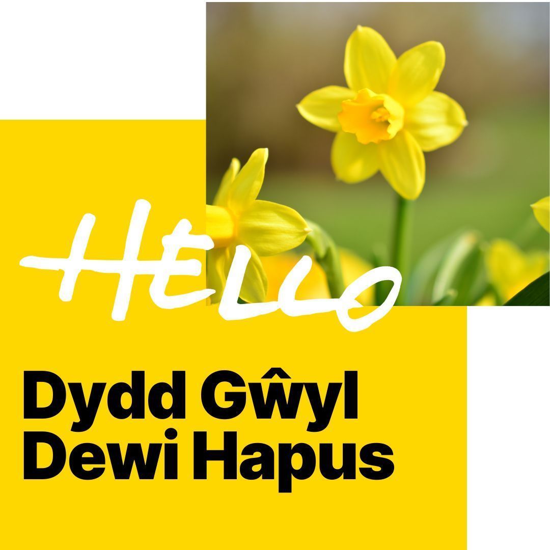 Hello Starling tweet media