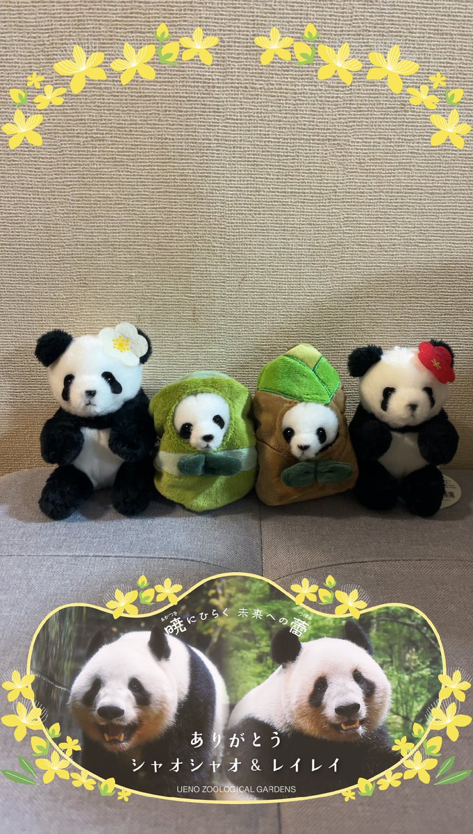 まだ使えるQR おそらく日付変わるまでは大丈夫 #暁にひらく未来への蕾