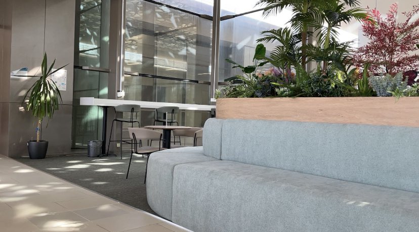 خلود tweet media