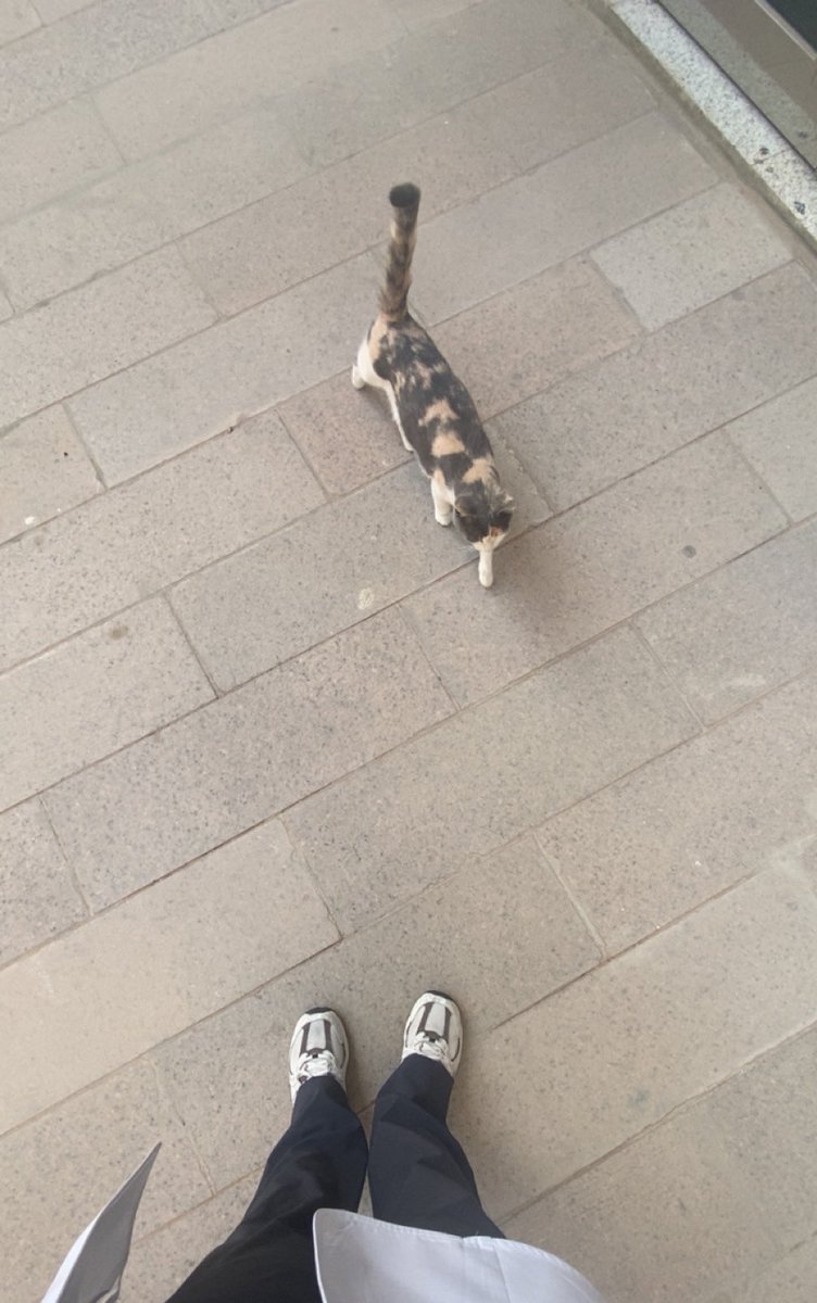 خلود tweet media