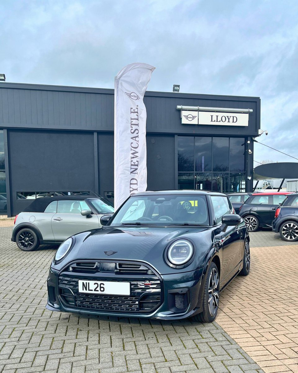 Lloyd MINI tweet media