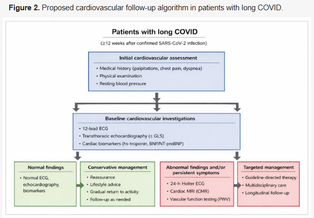 Harry Spoelstra tweet media