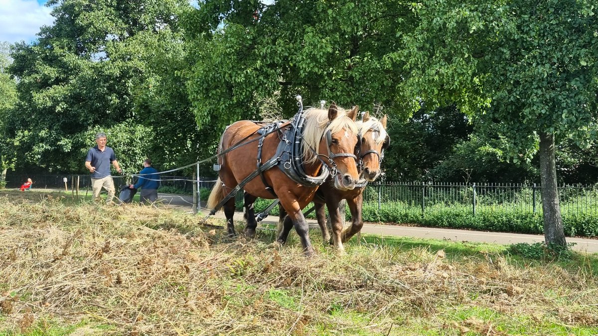 🌱 A greener future shaped by you.

More than 240 people helped shape our new Wild Wandsworth Biodiversity Action Plan sets out practical steps to protect wildlife, improve habitats and connect every neighbourhood with nature over the next five years 🌻

orlo.uk/0luBX