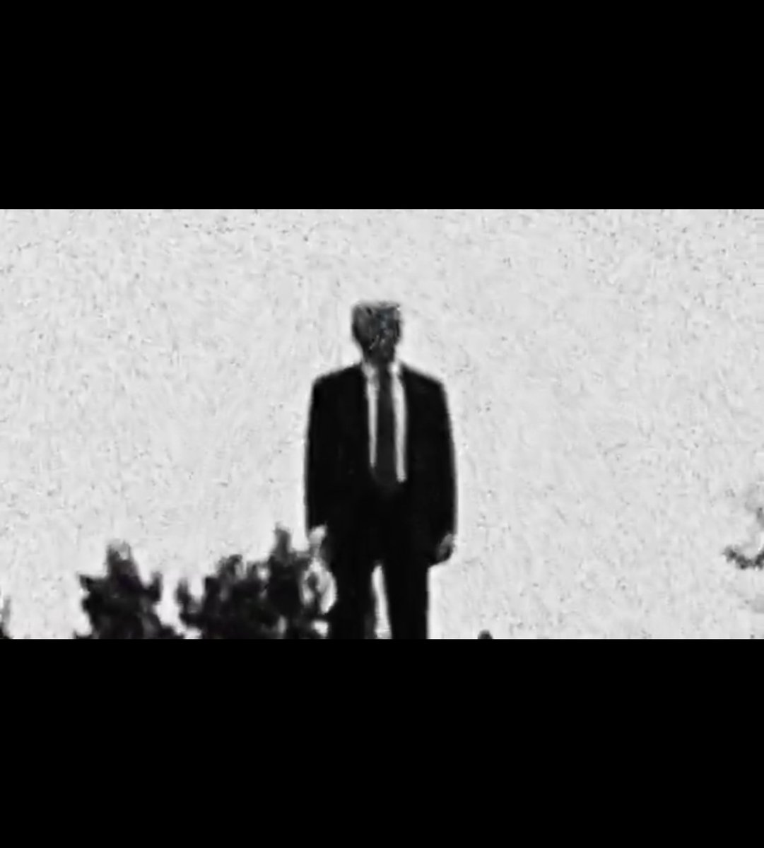 FamousW01F tweet media