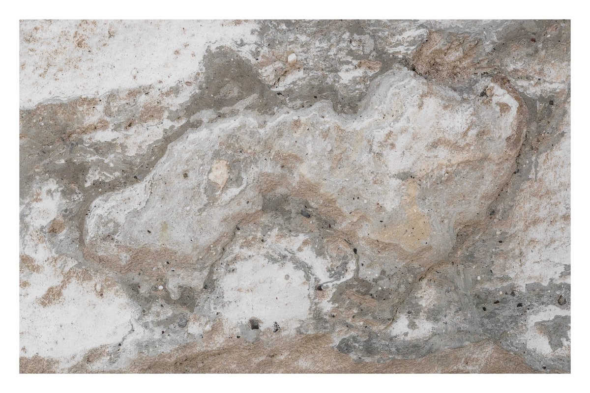 thatbloom tweet media