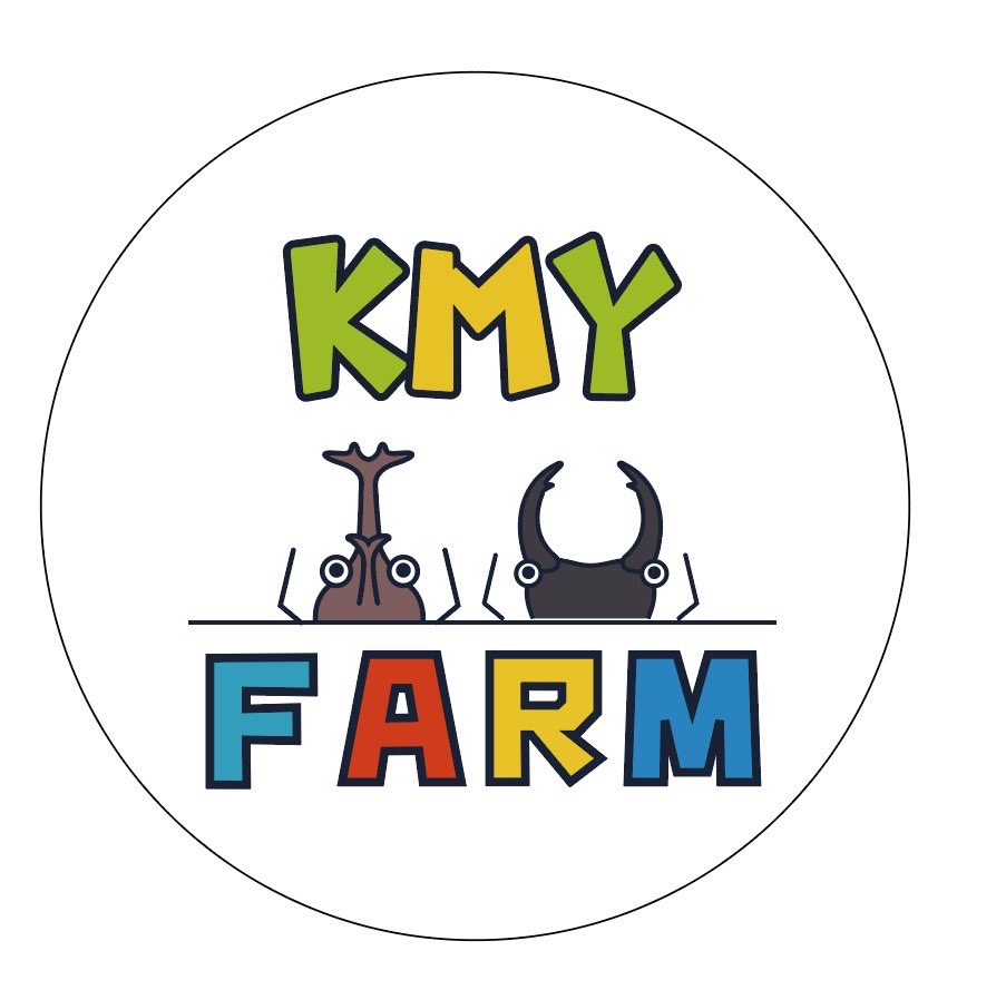 INSECTSHOP KMY(インセクトショップKMY) tweet media