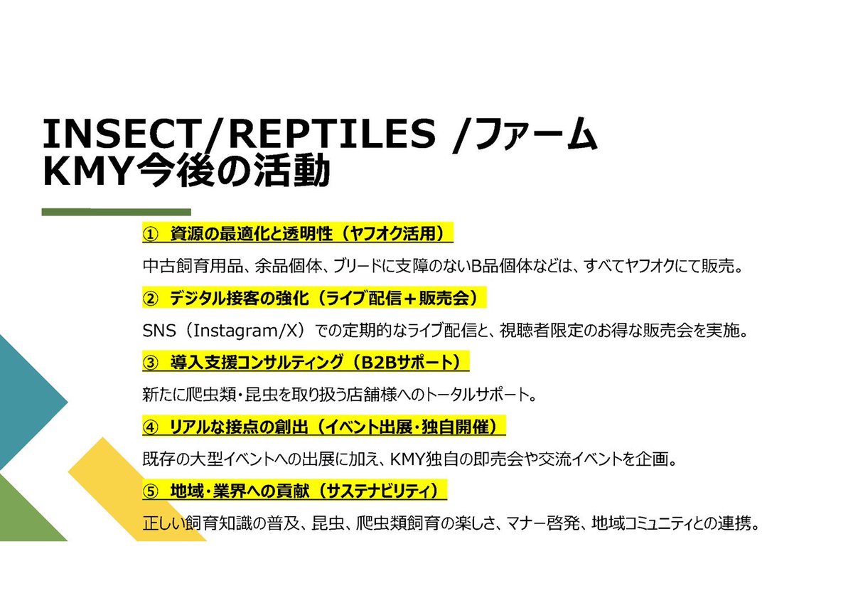 INSECTSHOP KMY(インセクトショップKMY) tweet media