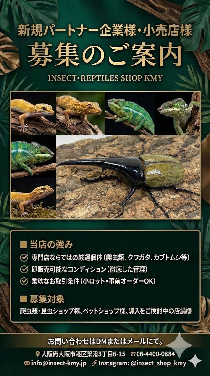 INSECTSHOP KMY(インセクトショップKMY) tweet media
