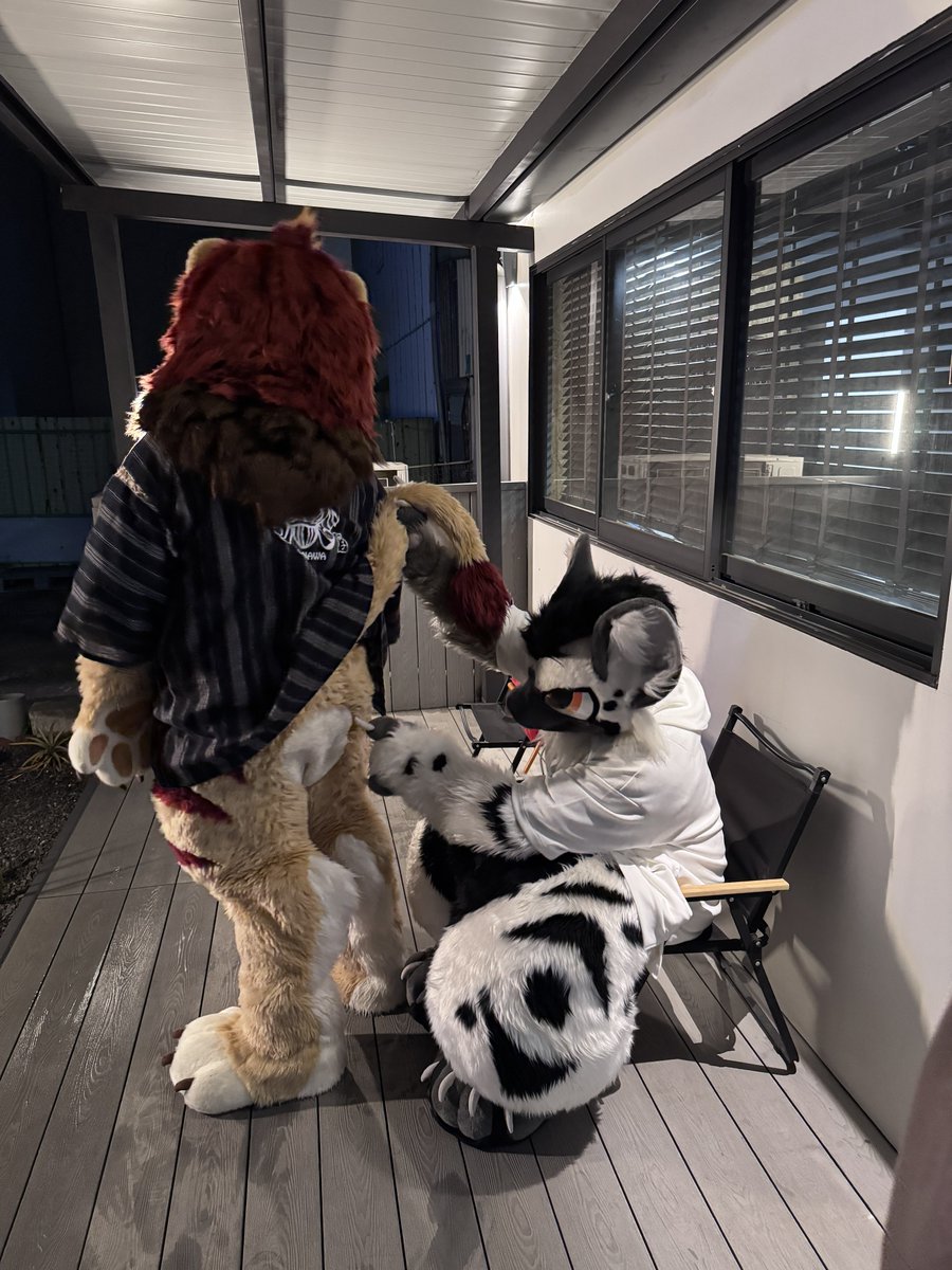 Vincent 🔜 UTFG tweet media