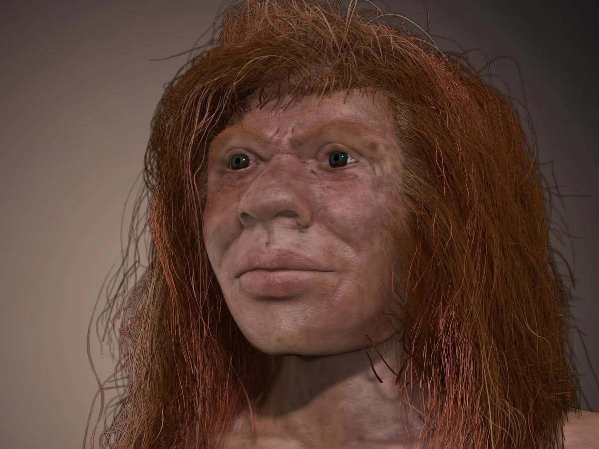 90,000-year-old remains found in a Siberian cave came from a teenager with a Neanderthal mother and Denisovan father. This is the only known case of a human whose parents were different species of human.

Her bones whisper the truth of humanity’s tangled roots. Discovered in
