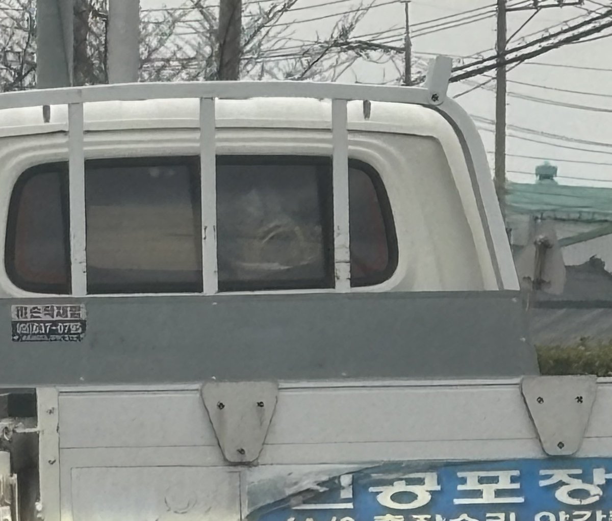 _sxxuni's tweet photo. ㅆㅂ듀가나디인줄알았어 https://t.co/JgpW8DeaIG
