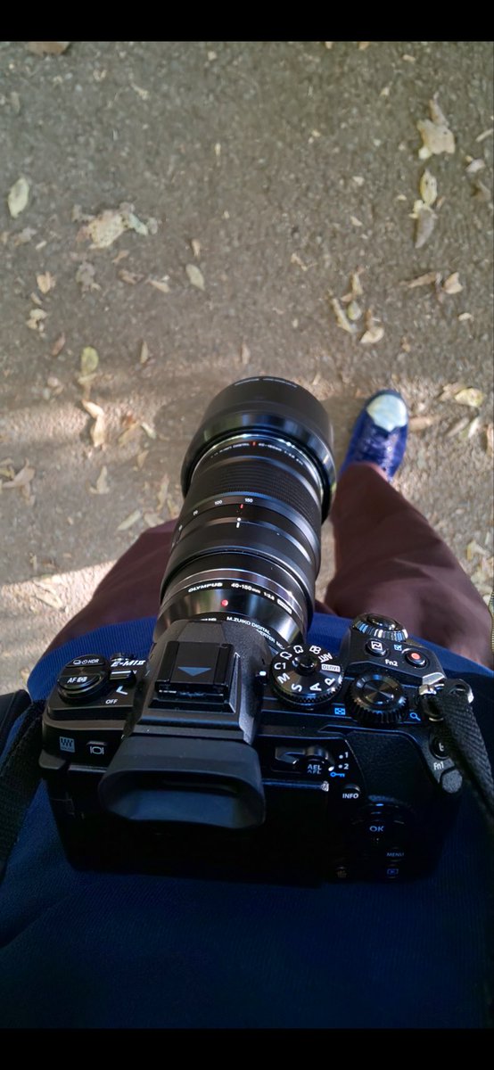 _tt_5_'s tweet photo. 花粉症の人には辛いけど、散歩が捗る季節になったね
#写真好きな人と繋がりたい https://t.co/gVt3KKixmr