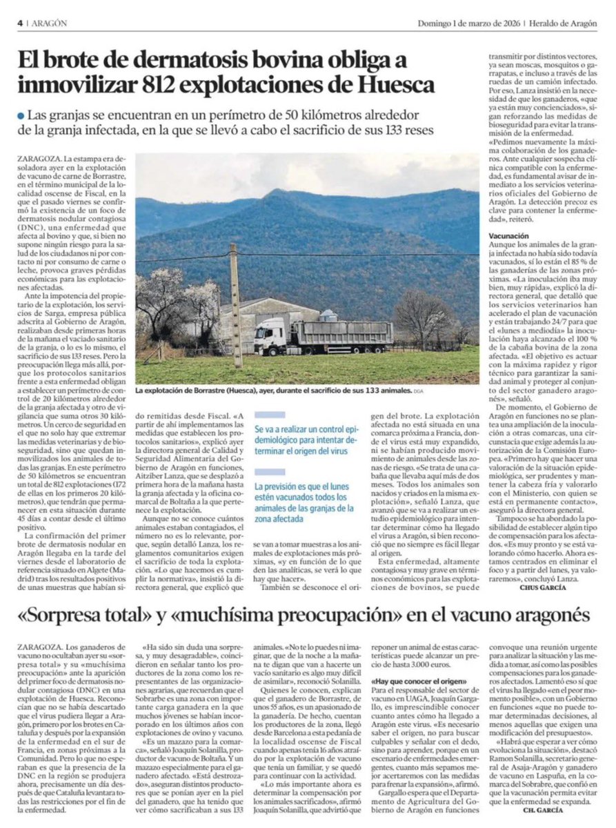 Óscar Sayagués tweet media