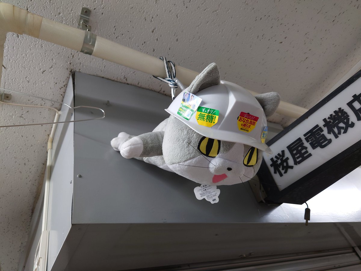 Post by Tera_FH55 on X: ヨシ！