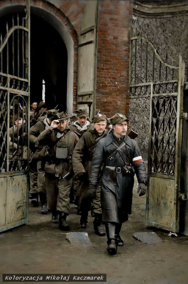 Tomasz Rzymkowski tweet media