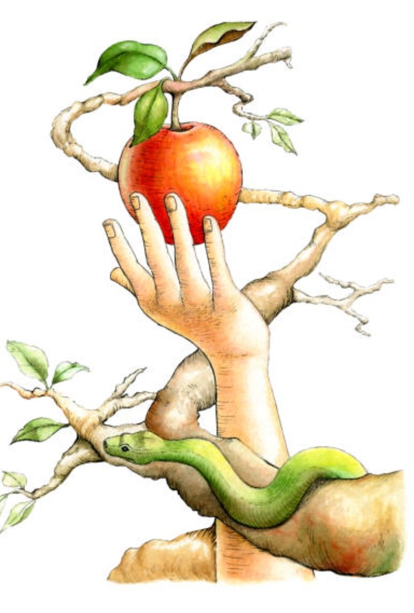 France61224153's tweet image. Ne cherchez pas pourquoi Ève à  croquer la 🍎  pomme....
Elle n’avait tout simplement rien à se mettre sous l’Adam 🤪🤪🤪🤪
Quant à sa pomme d’Adam, Ève  aurait préféré croquer autre chose. 
#Gag