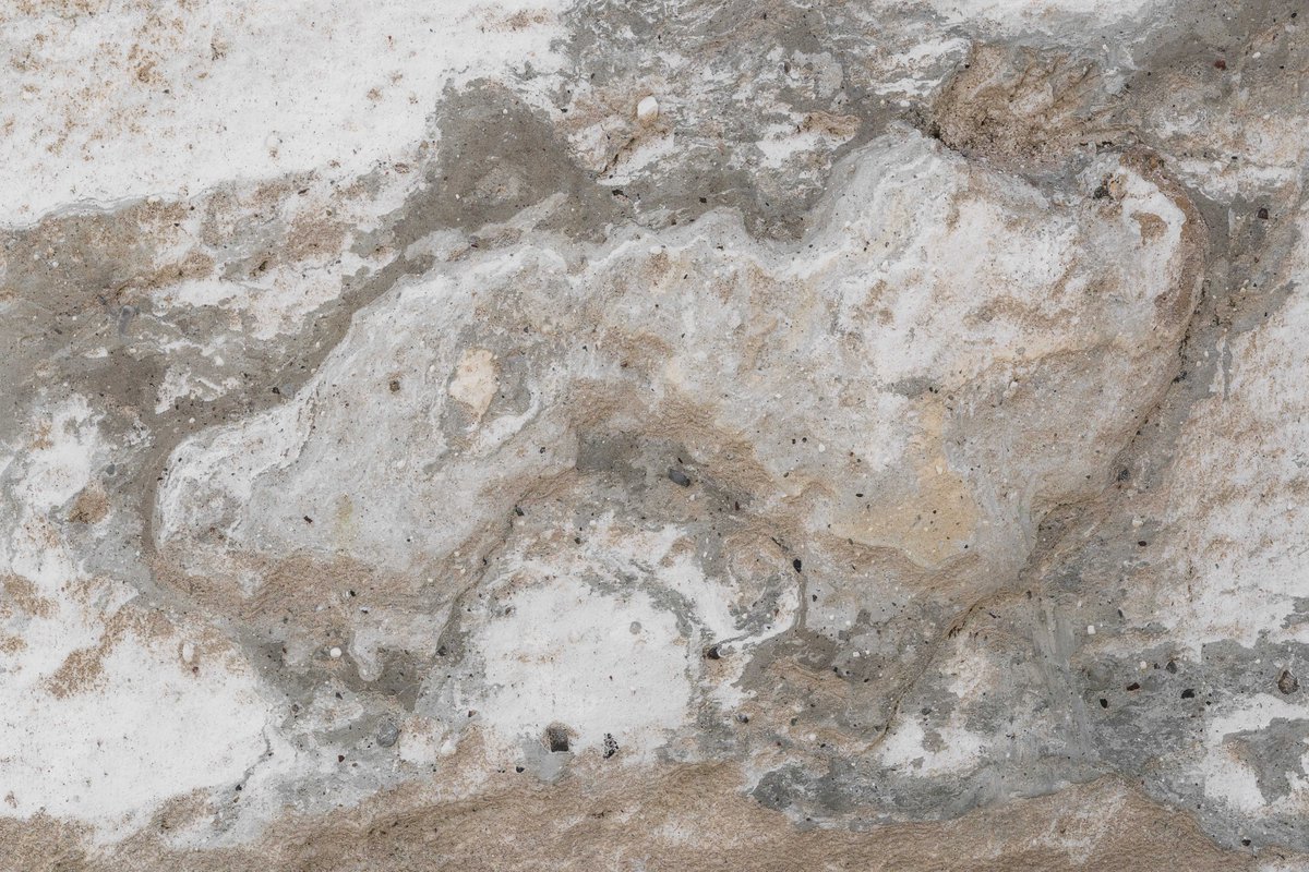 thatbloom tweet media