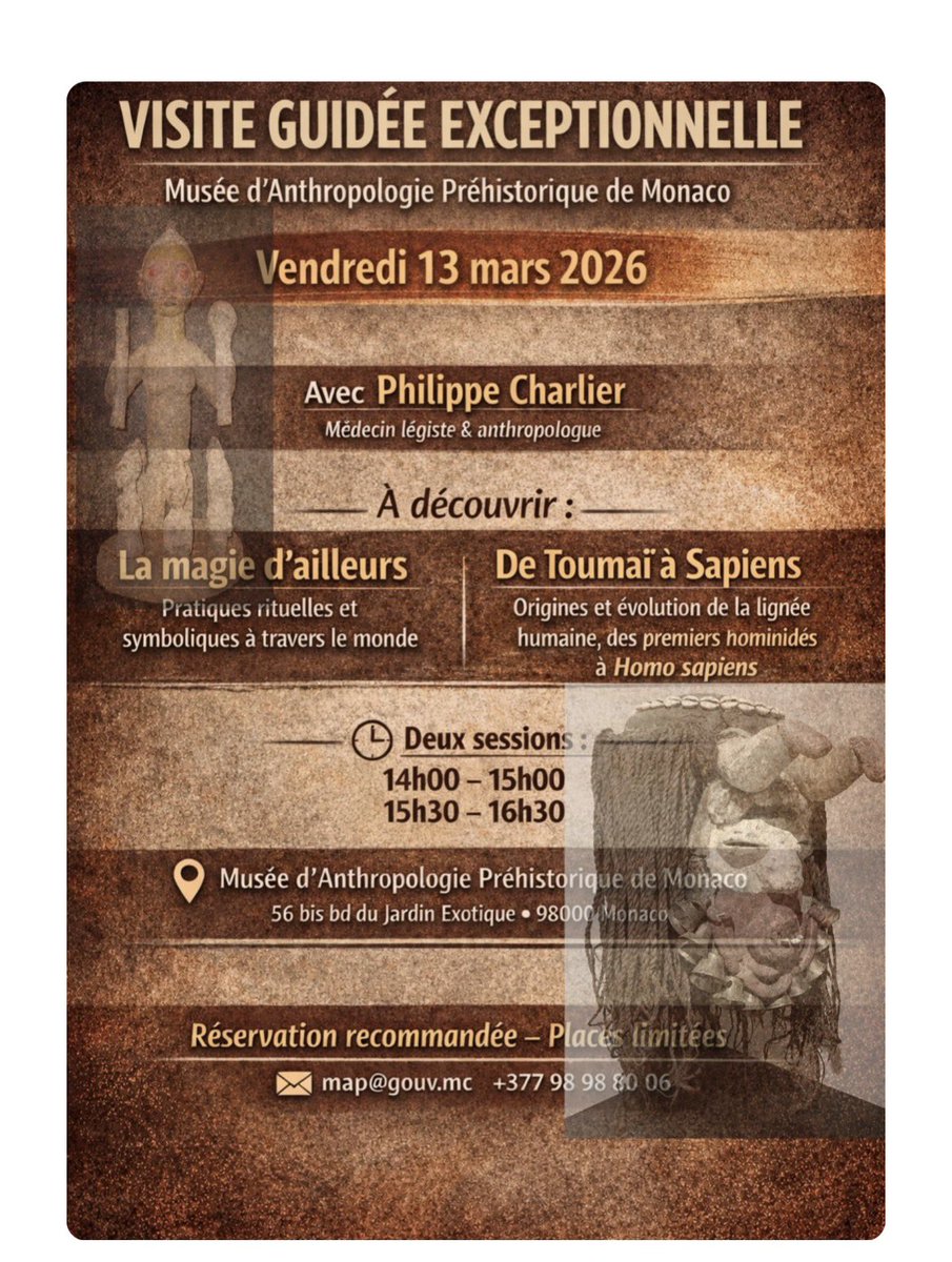 Musée d'Anthropologie préhist. de Monaco tweet media