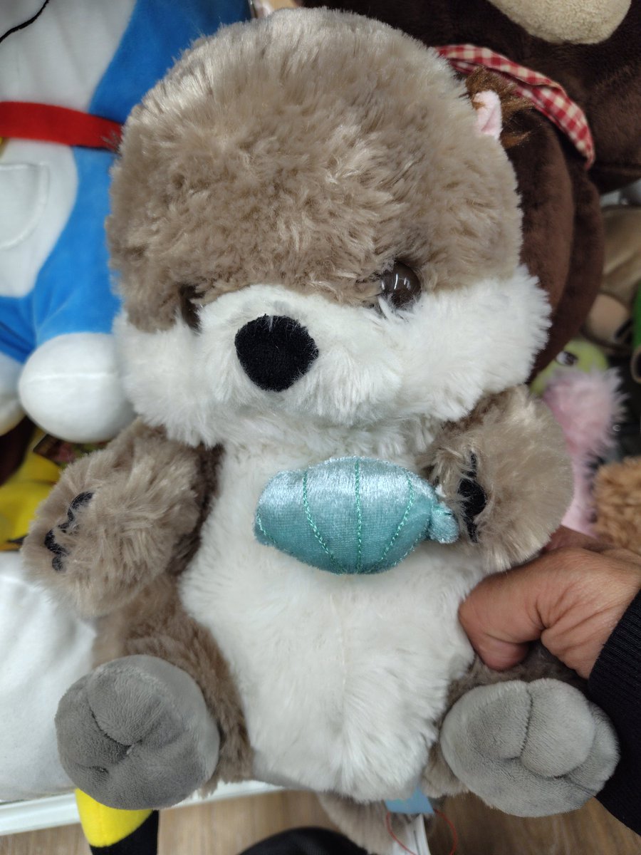 らっこちゃんこんな所におったんや