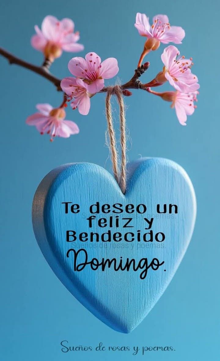 <a href="/Carmen__Blue/">Carmen</a> <a href="/SoloAzul58/">SoloAzul</a> <a href="/themis_mc/">Themis -Mc</a> <a href="/621Elara/">Elara - Mc</a> <a href="/bel71294/">MabeL</a> <a href="/PetroMareaAzul/">Petro Marea Azul 🦋🦋🦋🦋</a> <a href="/Iria_Celta/">Iria🌸</a> <a href="/1528_elviri/">Elv I🎗️a</a> <a href="/Rogelia50318250/">Rogelia</a> <a href="/Estamos06/">Estamos - Mc</a> <a href="/Gloria26326305/">GLORIA 💙</a> <a href="/campoy64160/">caballa 🌊💙💦</a> <a href="/sonajitaplatea/">sonajita</a> <a href="/PaisajAzul/">PaisajAzul-Mc</a> <a href="/MariC_07070/">Mari C</a> <a href="/vainilla914664/">vainilla</a> <a href="/SMarea_7/">S.Marea-Mc</a> <a href="/SiempreAzul_6/">Azul-Mc</a> <a href="/NT83631763/">N. T</a> <a href="/arancha2458/">Arancha</a> <a href="/mazcobru/">Conchi AB</a> <a href="/MargotLorenzo2/">Margot Lorenzo</a> <a href="/ClotaTeresa/">Teresa Molina Clota</a> <a href="/tuneadora432/">Santa Paciencia</a> <a href="/AsomadaAlEspejo/">EspejoAzul-Mc💙</a> <a href="/Hortensia380668/">Hortensia</a> <a href="/CarmenAzulAzul/">CarmenAzul-Mc</a> <a href="/VIOLETA1333814/">VIOLETA</a> <a href="/30Lealtad/">Lealtad-MC</a> <a href="/Myrtea64/">Myrtea-MC</a> <a href="/sombras_28/">Sombras-MC</a> <a href="/JusticiDiv/">Justicia</a> <a href="/Sombras6162/">Sombras</a> <a href="/TocaDisfrutar/">TocaDisfrutar-MC</a> <a href="/HastaCuand8/">HastaCuando</a> <a href="/23_fuerza/">FuerzaM</a> <a href="/Amorales_6/">Inmorales</a> <a href="/1Teatreros/">Maka</a> <a href="/karma__62/">karma</a> <a href="/Sombras_25/">Sombras</a> <a href="/Encadenado_2/">Encadenados</a> <a href="/Lluvia_57/">Lluvia</a> <a href="/imperfec23/">Marija</a> <a href="/Seguimos_6/">Seguimos</a> <a href="/Imbatibles_1/">Imbatibles</a> <a href="/IntrigaMax/">Intriga (M.c)</a> <a href="/Imprev_2/">Imprev (M.c)</a> <a href="/karmen618392/">karmen (M.c)</a> <a href="/DocuFarsa/">Farsa (M.c.)</a> <a href="/Imperfect_53/">Imperfecto (M.c.)</a> #YoMeRebelo1M 💪
#YoMeRebelo2M
➡️ "𝑵𝒐 𝒕𝒆 𝒅𝒊𝒔𝒎𝒊𝒏𝒖𝒚𝒂𝒔, 𝒏𝒊 𝒎𝒊𝒏𝒊𝒎𝒊𝒄𝒆𝒔 𝒑𝒂𝒓𝒂 𝒆𝒏𝒄𝒂𝒋𝒂𝒓 𝒆𝒏 𝒍𝒂 𝒗𝒊𝒅𝒂 𝒅𝒆 𝒏𝒂𝒅𝒊𝒆".