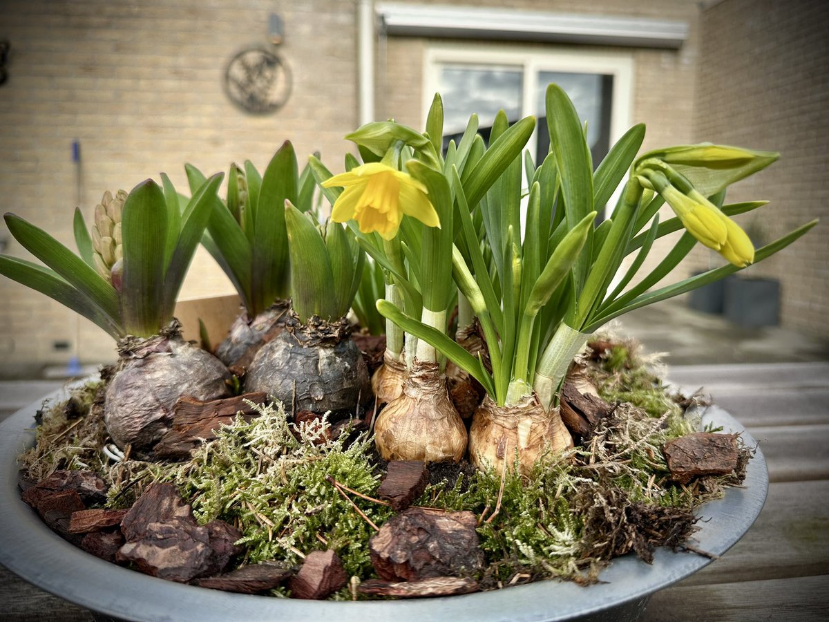 Linda_Zsluis's tweet image. Goedemorgen 🙋🏼‍♀️☕️
En dan is het alweer maart 🌸
#lente 

Rustig wakker worden met koffie en we zien wel waar we straks heen gaan na 12uur 🤗 

Maak er een mooie zondag van 💛🍀
#weekendfun 
#zondag