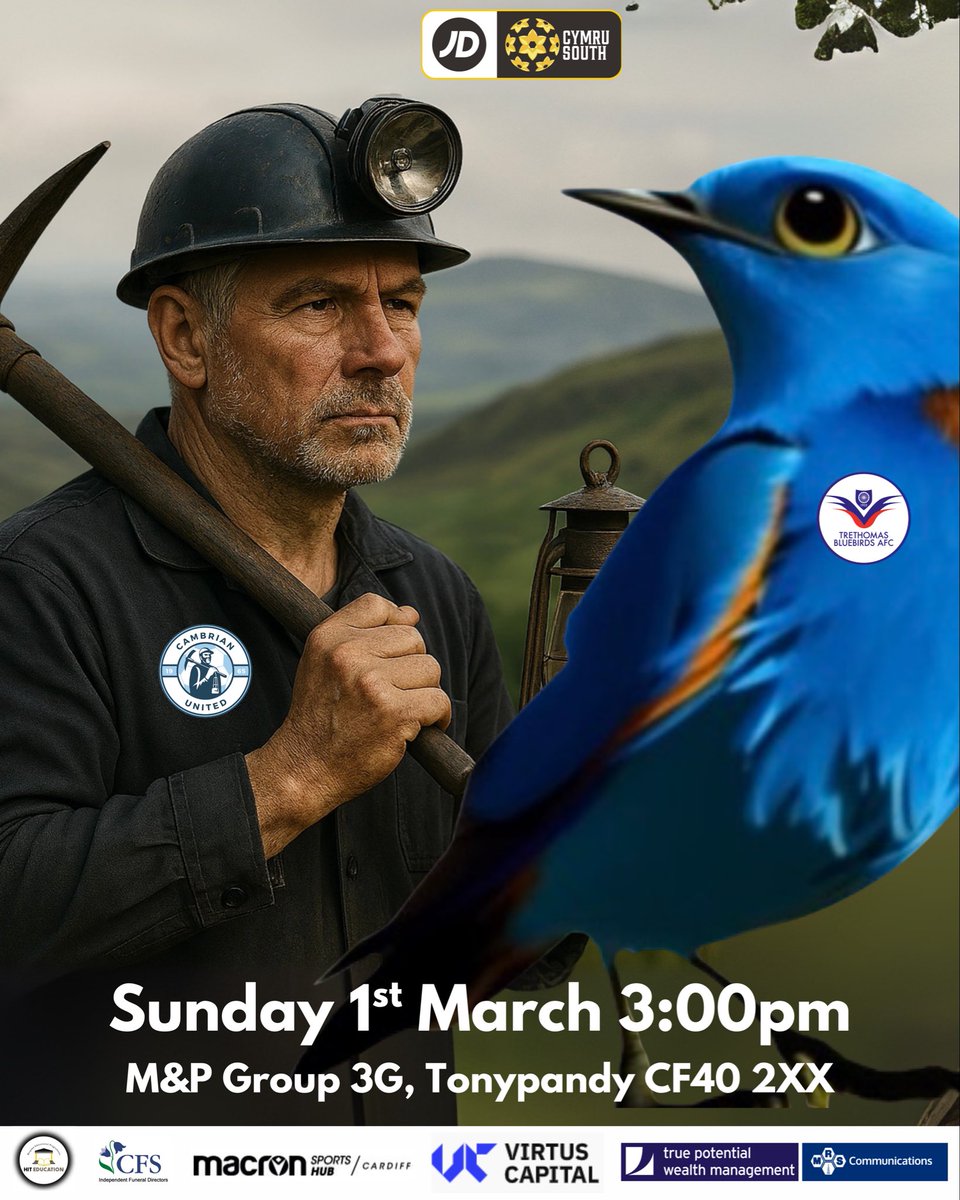 Trethomas Bluebirds AFC tweet media