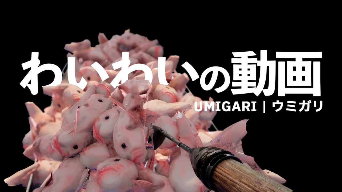 わいわい(37) tweet media