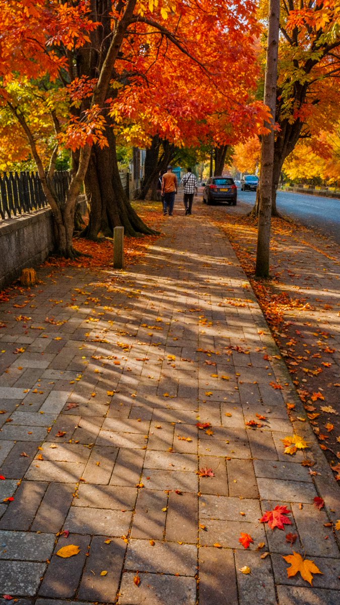 MedhaviAnuj's tweet photo. Delhi's Autumn Season https://t.co/9naqXUXiip