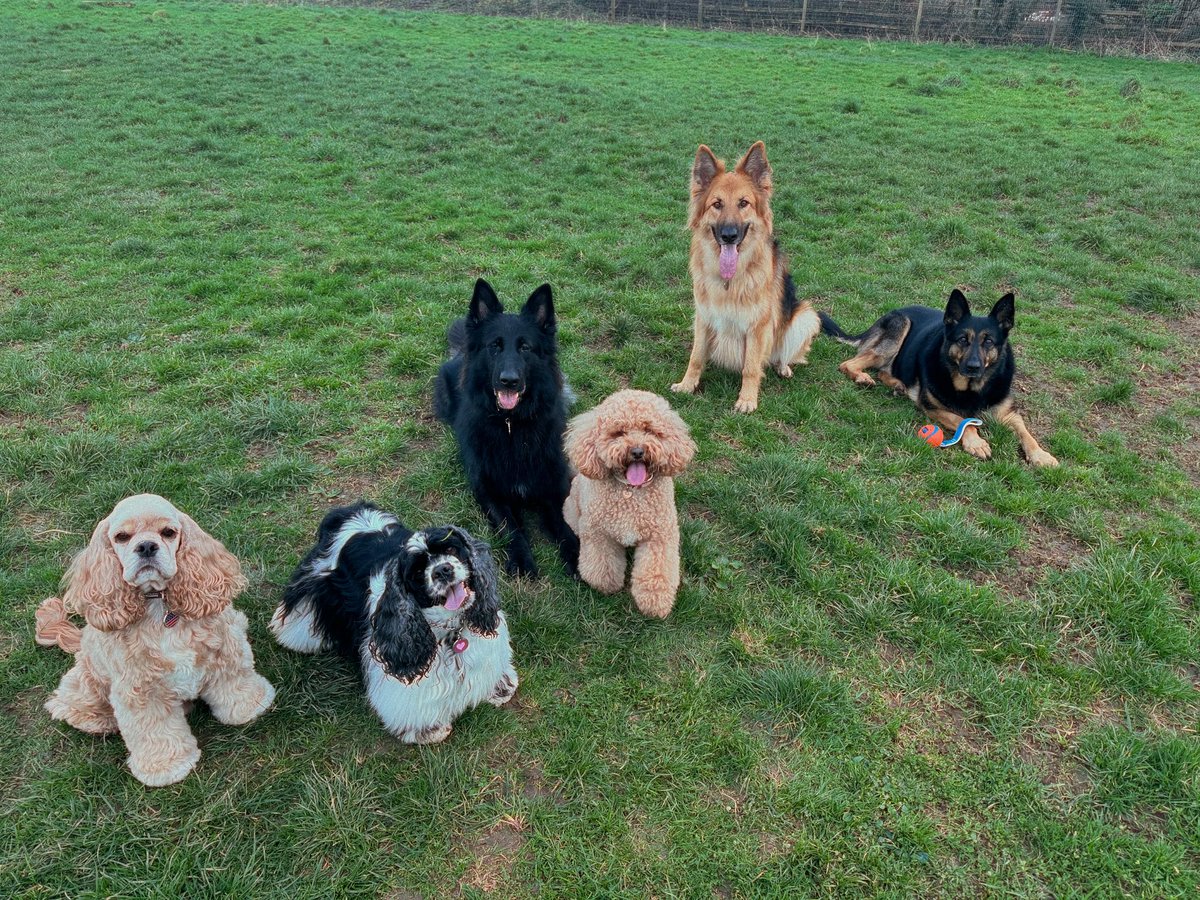 RPD Dixie tweet media