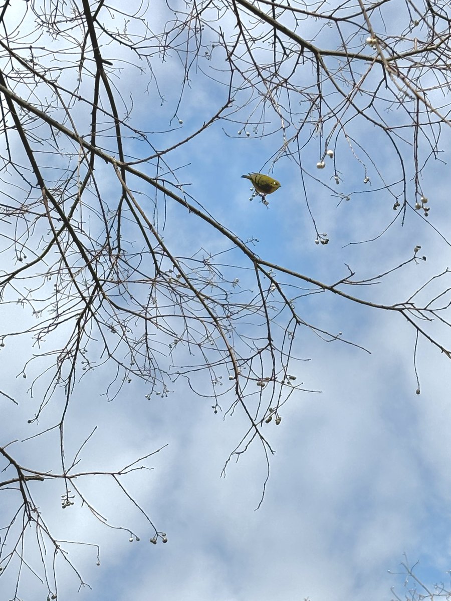 これね、先週コミティア会場へ周りのオタクっぽい奴らに着いていって辿り着こうとしてたのに鳥を撮ってたら置いてかれて迷子になった時の写真