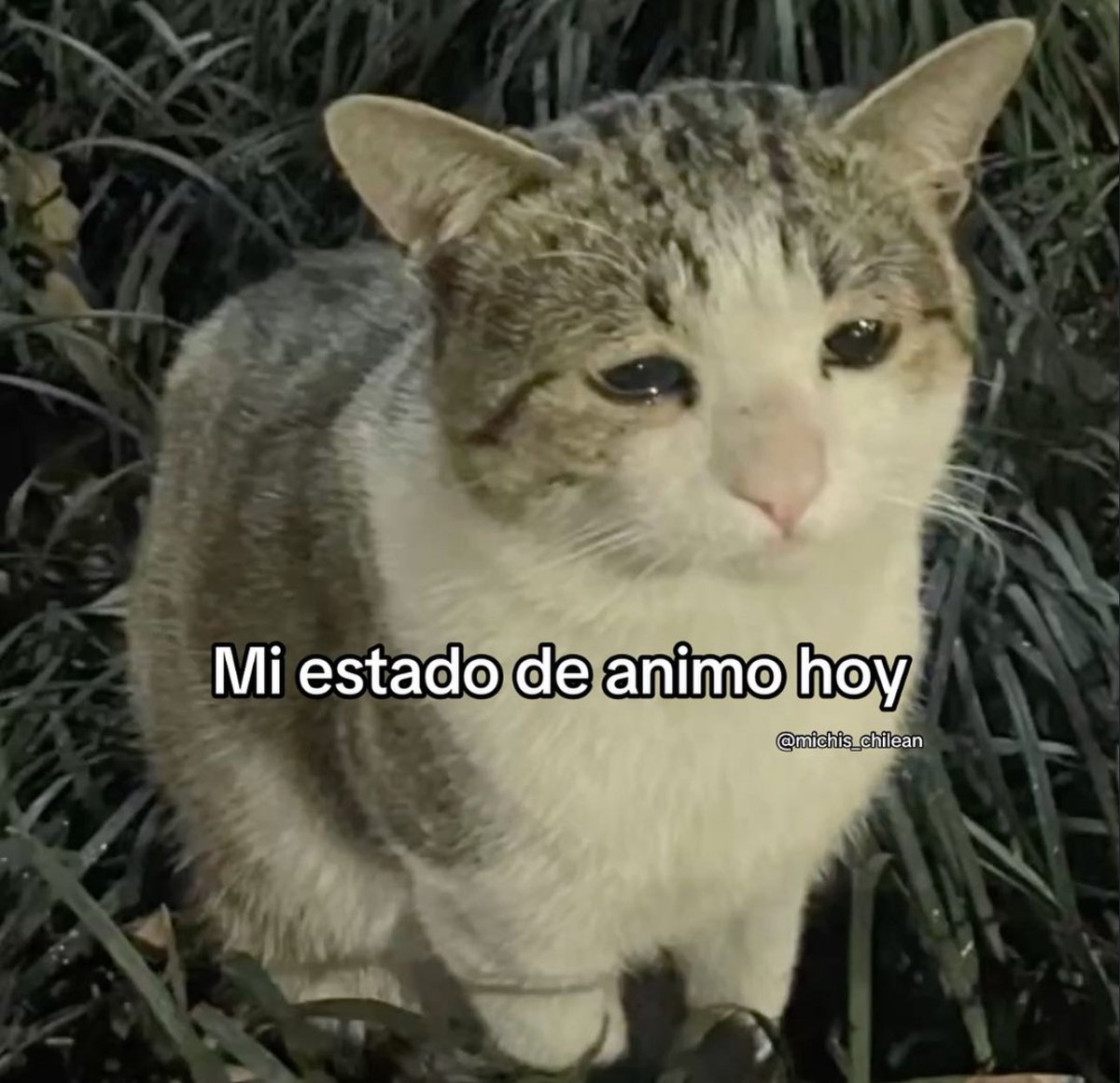 skereunpesado's tweet photo. https://t.co/ziq8eD9kXX