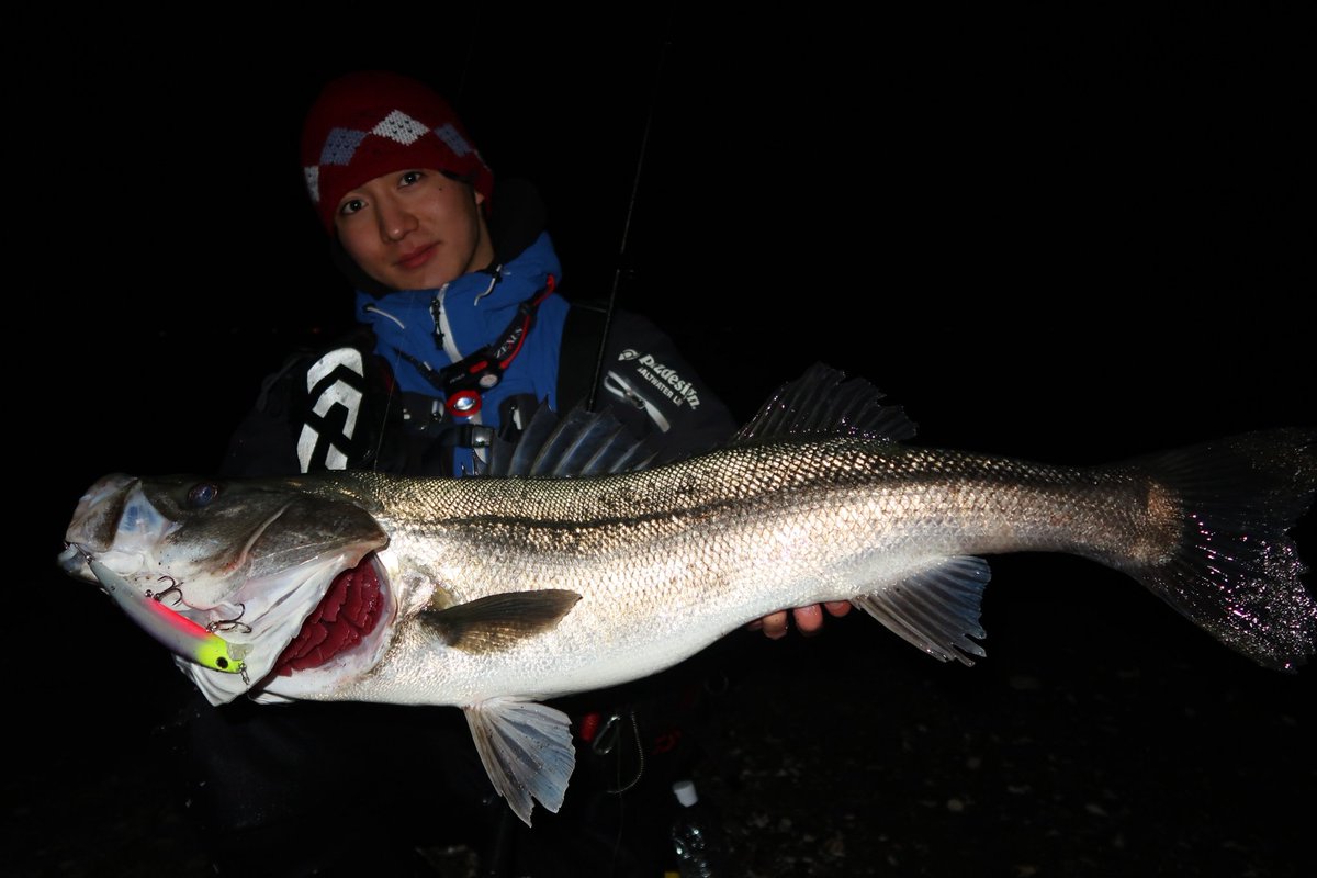 ru_fi_gt tweet media