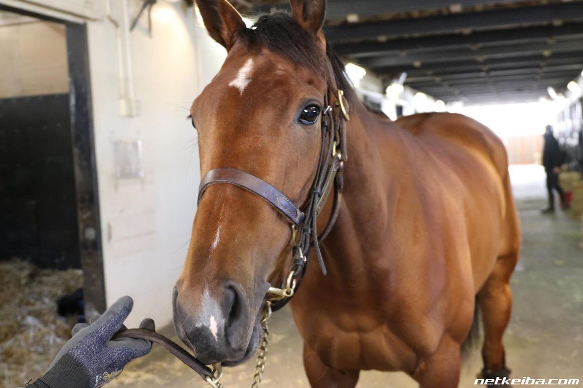 Does she even know she’s THE almond eye?