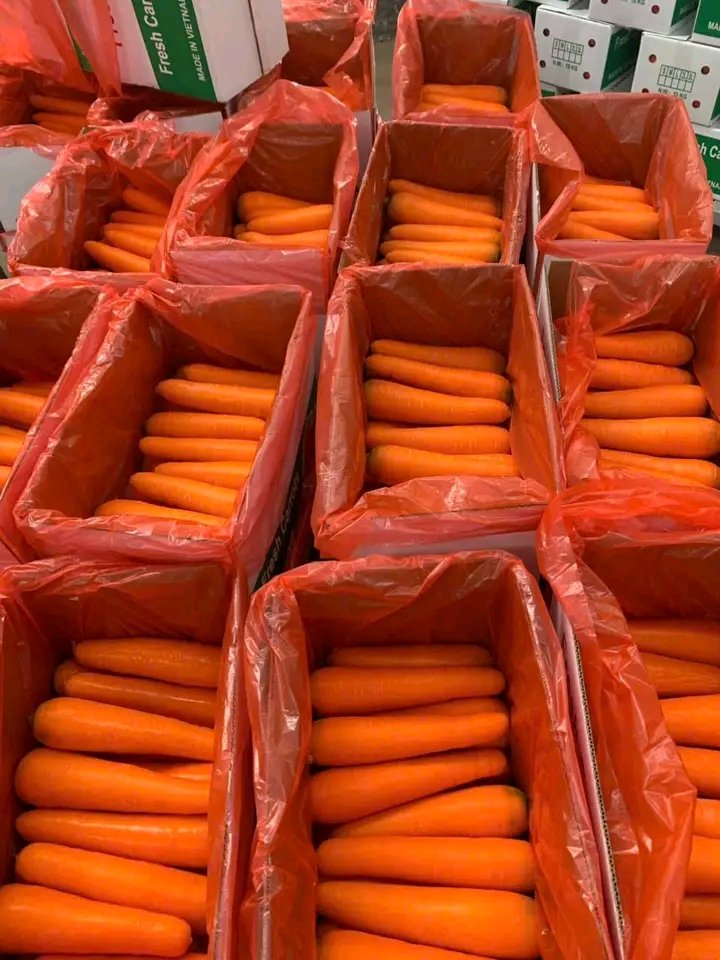 eda_mulki's tweet photo. Many people enjoy processed food every day but rarely think about the journey behind it. Before carrots is polished, tomatoes become paste, or maize turns into flour, a farmer has already spent months working with the soil and weather.
#Agriculture #KnowYourFoodSource #Export https://t.co/K9Wws7B6zy