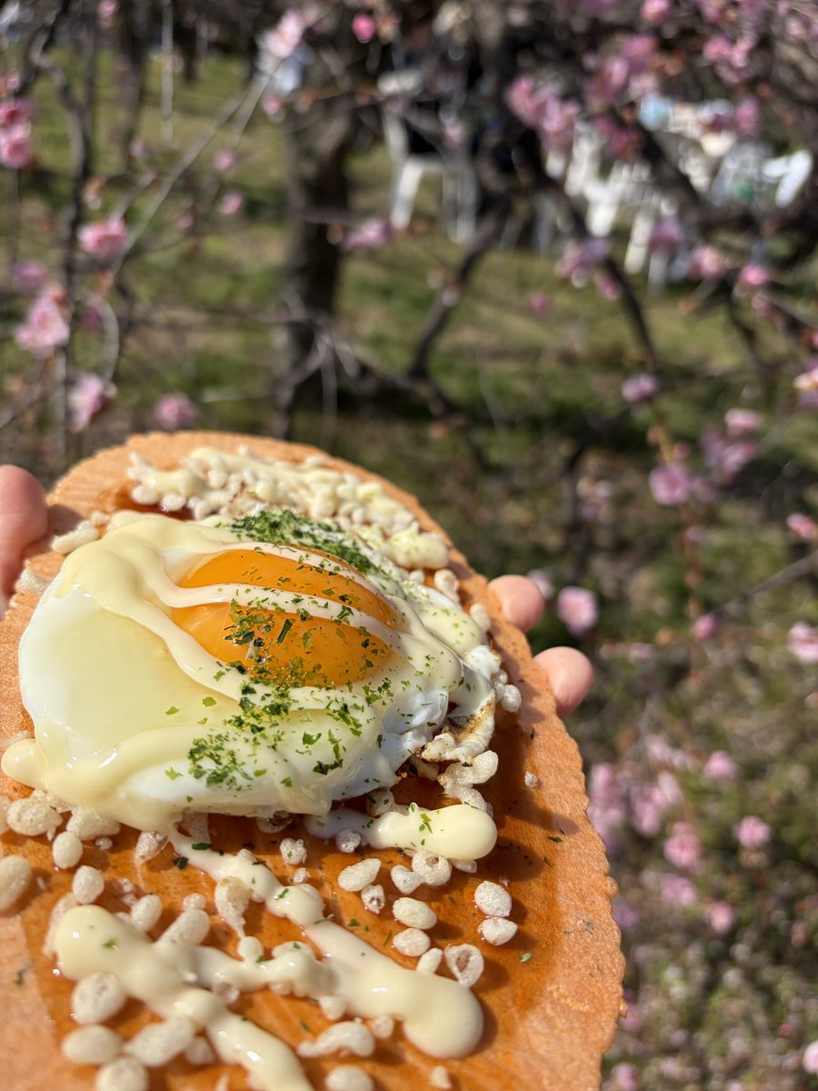 池田市
水月公演の梅イベントいってきた！

前回の #カワセミフェス で絹子のクレープ屋さんブースに出ていたたません食べたよー🍳 𓈒𓂂𓏸
おいしかったし
梅きれいし、
いいことずくし！！

行ってよかったー！
癒された！！