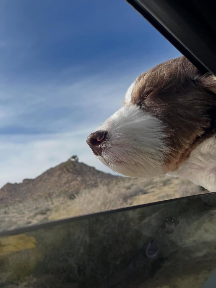 joo been ʚଓ tweet media