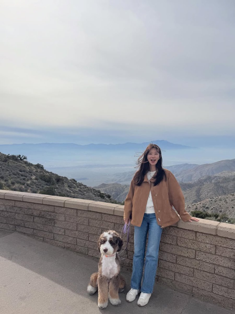 joo been ʚଓ tweet media