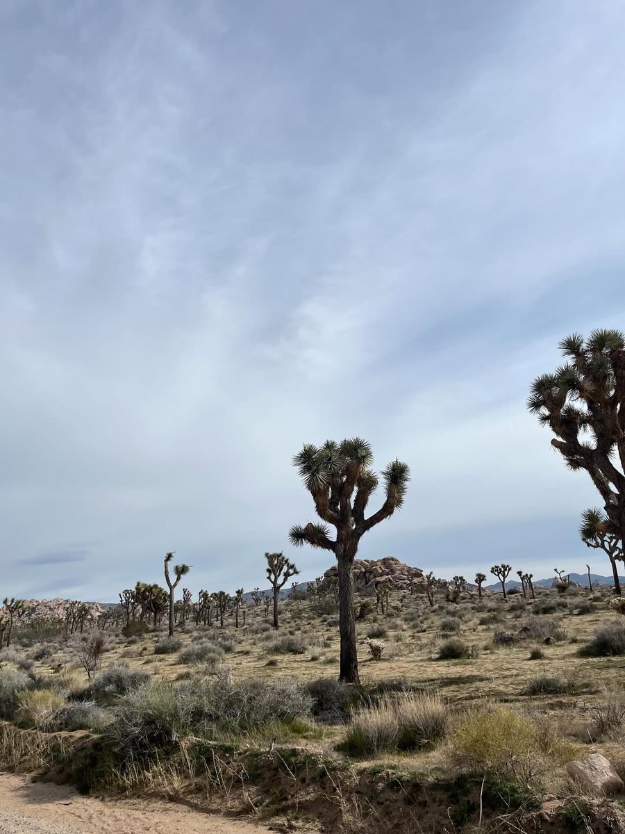 joo been ʚଓ tweet media