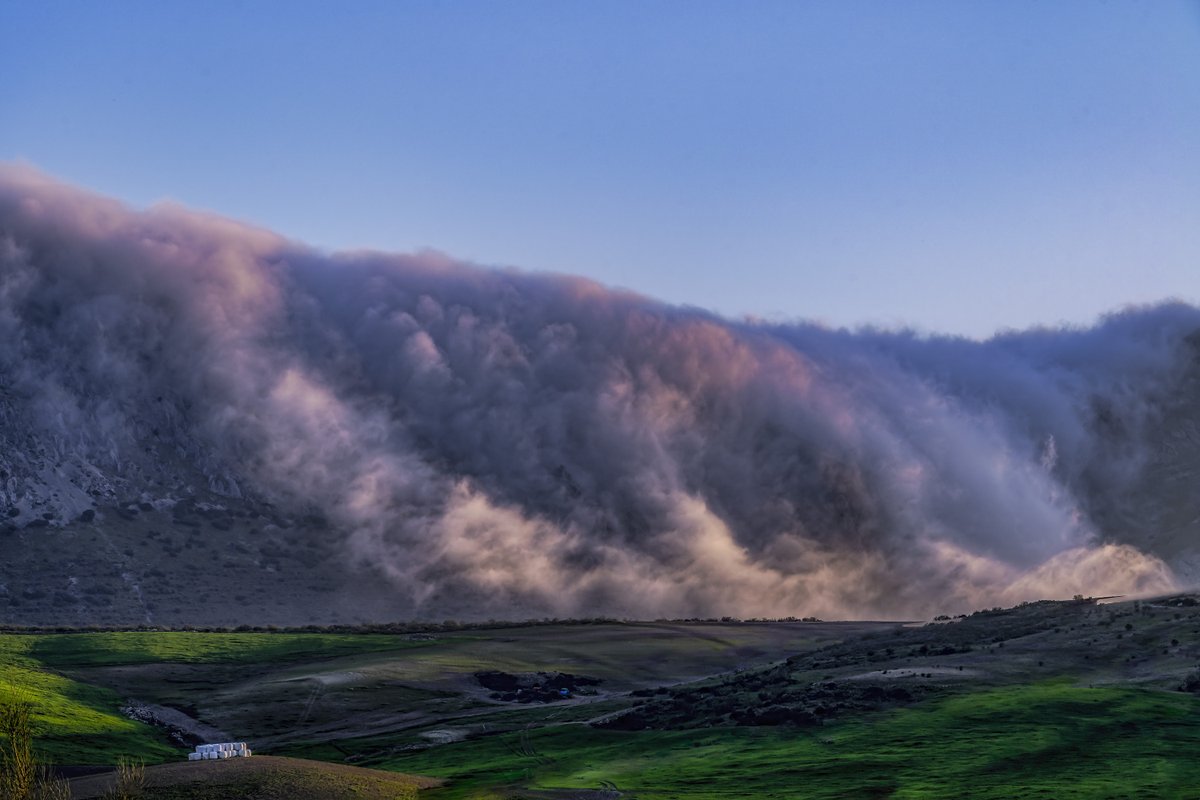 Pedro Mengual tweet media